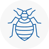 Bed Bug Extermination In Oldbury