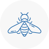 Bee Nest Removal Oldbury