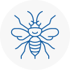 Oldbury Hornet Nest Removals