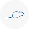 Mice Exterminators In Oldbury