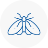 Moth Control Specialists In Oldbury