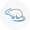 Rat Control Oldbury