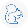 Oldbury Rodent Removals