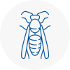 Oldbury Wasp Nest Removal